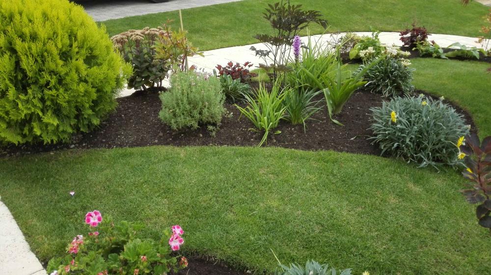Entretien jardin près de Publier